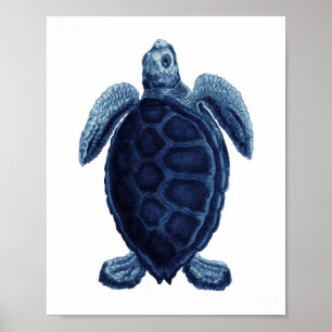 La decoración del baño de la Marina Blue Sea Turtl