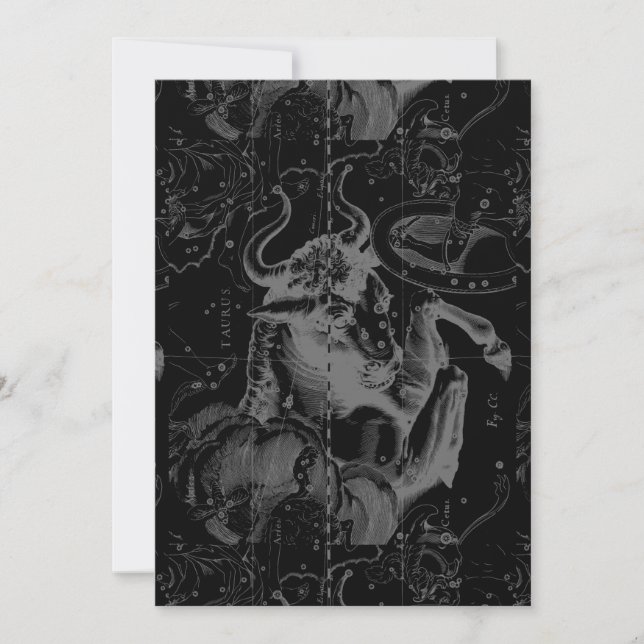 La decoración del Taurus Constellation Hevelius 16 (Anverso)