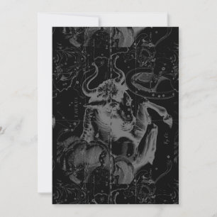 La decoración del Taurus Constellation Hevelius 16