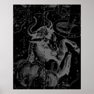 La decoración del Taurus Constellation Hevelius 16
