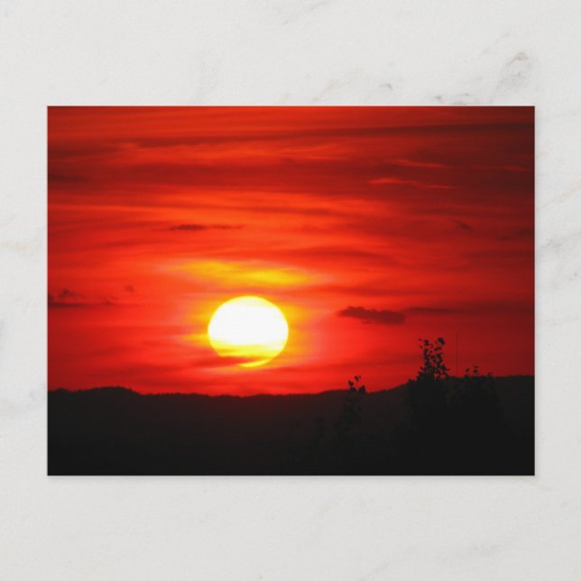 La delgada postal del marinero (Anverso)