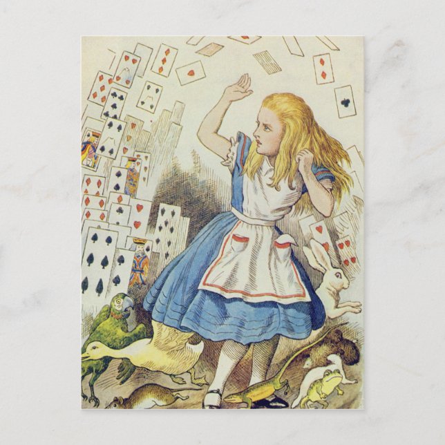 La ducha de las tarjetas (Anverso)