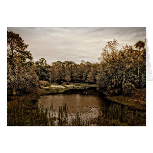 La ensenada (Anverso (Horizontal))