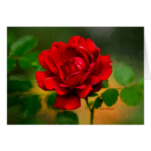 ¡La "esencia" de un rosa rojo!