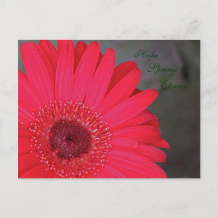 La esperanza desemboca en la eterna postal