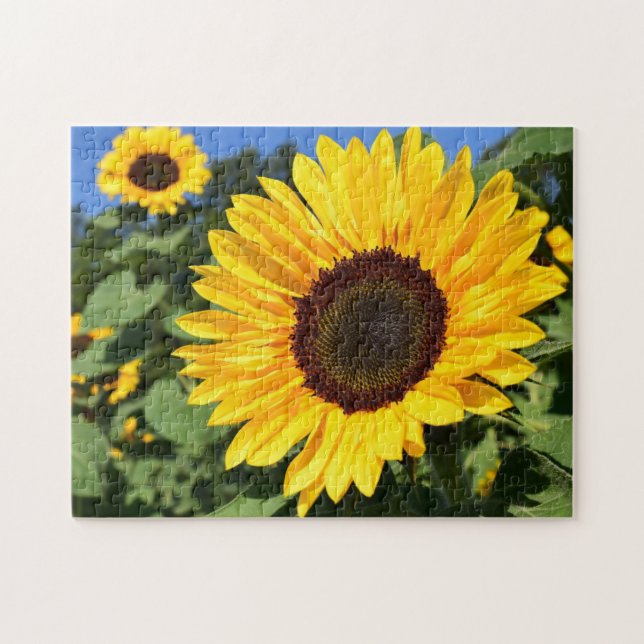 La Fábrica de Rompecabezas Songbirds Sunflower, Pr (Horizontal)