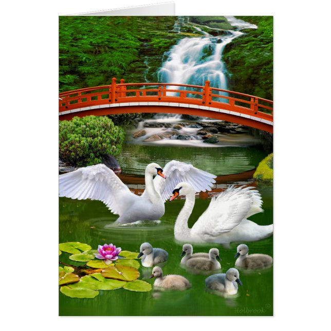 LA FAMILIA DE SWAN (Frente)