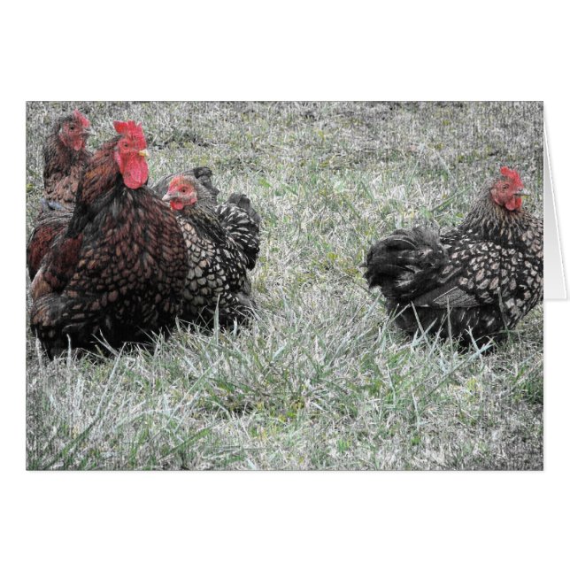 La Familia Fancy (Anverso (Horizontal))