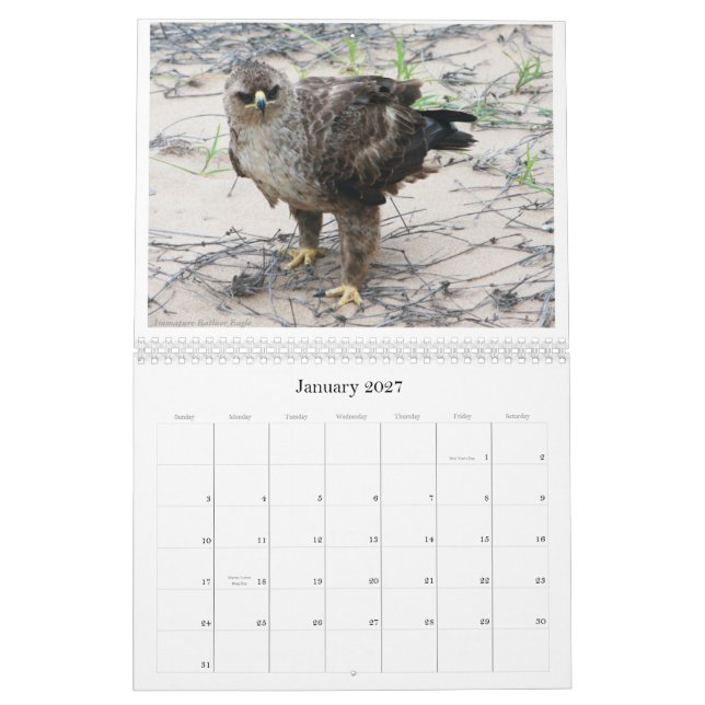 La fauna avícola africana hace calendarios (Jan 2027)