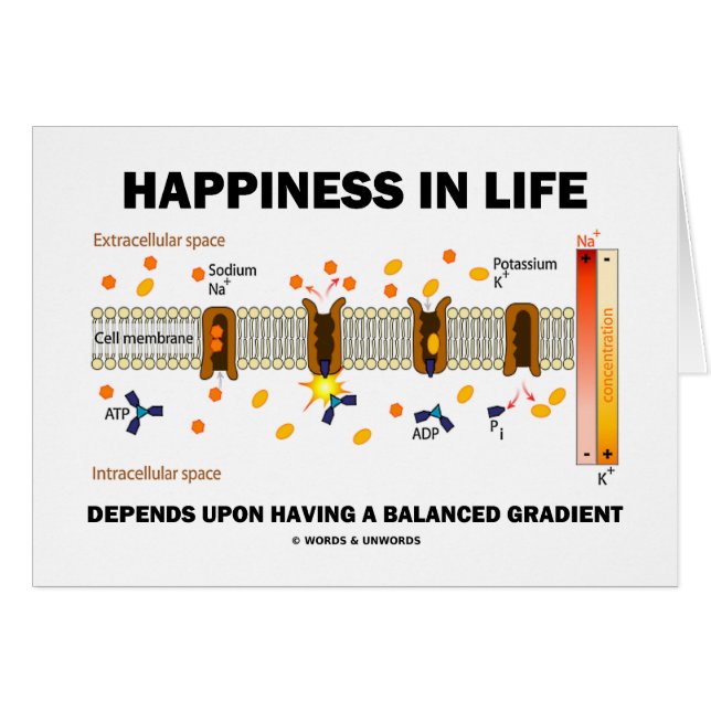 La felicidad en vida depende de pendiente (Anverso (Horizontal))