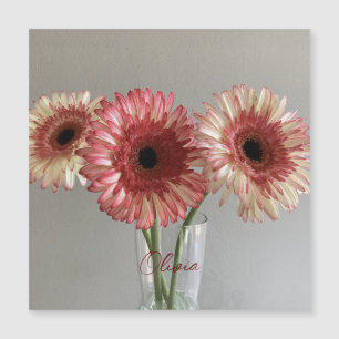 La feliz flor rosa de Gerbera + nombre personaliza