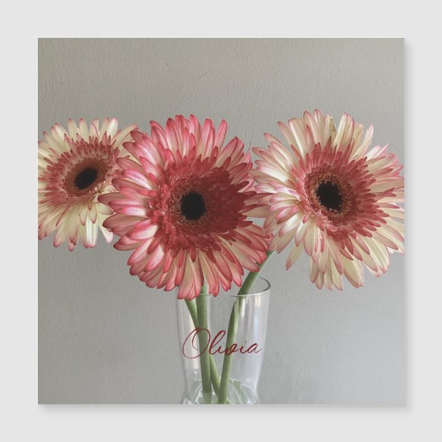 La feliz flor rosa de Gerbera + nombre personaliza (Anverso)