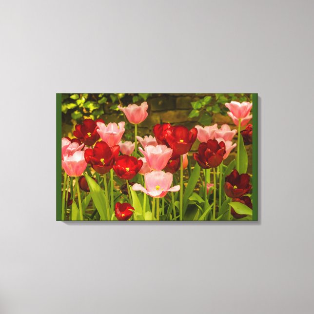 LA FLORACIÓN DE TULIPANES EN UN PARQUE IMPRESIÓN E (Anverso)