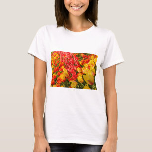 LA FLORACIÓN DE TULIPANES EN UNA CAMISETA DE PARQU