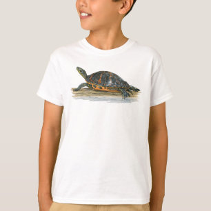 La Florida Rojo-hinchó la camiseta de la tortuga