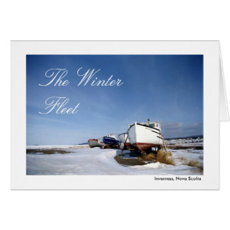 La flota de invierno