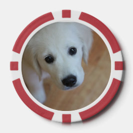 La foto de tu cachorro o perro en las fichas de pó