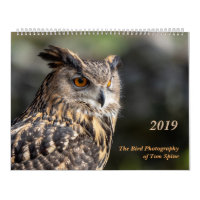 La fotografía del pájaro del calendario del ~ 2019
