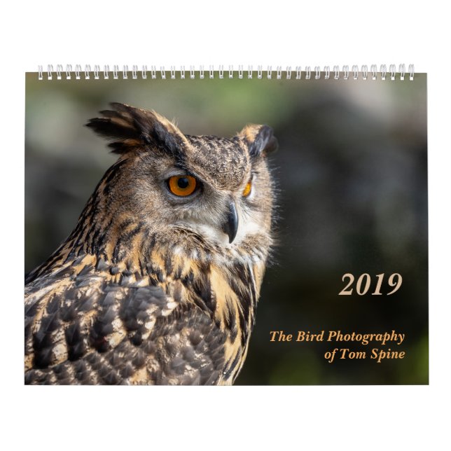 La fotografía del pájaro del calendario del ~ 2019 (Tapa)