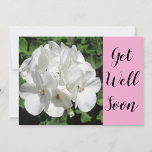 La fotografía floral blanca se pone bien