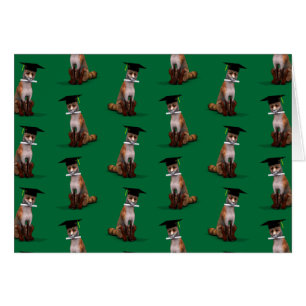 La Fox más inteligente de la ciudad