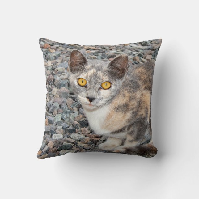 La funda de la almohada del gato (Reverso)