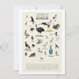 La galería de pájaros adornados con puertas traser