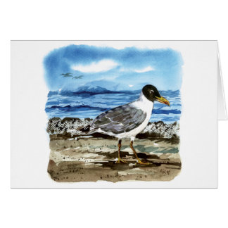 La gaviota de Pallas