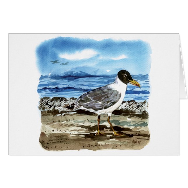 La gaviota de Pallas (Anverso (Horizontal))