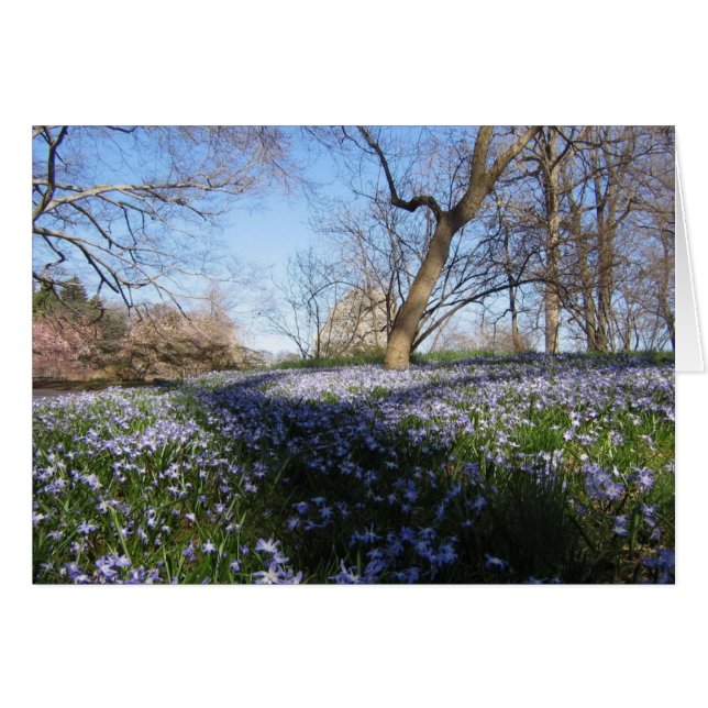 La Gloria de la Primavera - Tarjeta (Anverso (Horizontal))