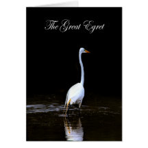 La gran COLECCIÓN Egret Water - WETLANDS - Blank
