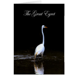 La gran COLECCIÓN Egret Water - WETLANDS - Blank