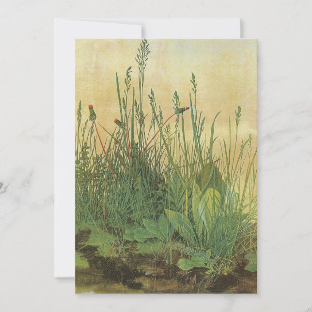 La gran (gran) pieza de turf de Albrecht Durer (Anverso)