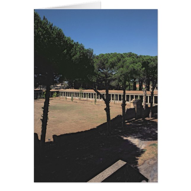 La Gran Palaestra (Frente)