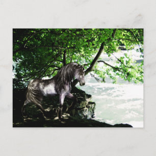 La gran postal de la división del río