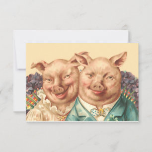 La guapa pareja de cerdos