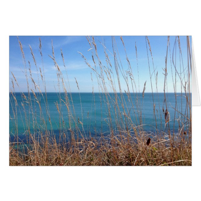 La hermosa hierba y el mar (Anverso (Horizontal))