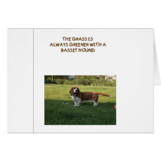 LA HIERBA ES MÁS VERDE CON BASSET HOUND