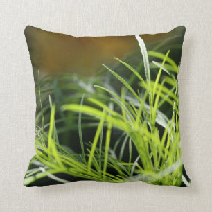 La hierba es siempre más verde… Almohada