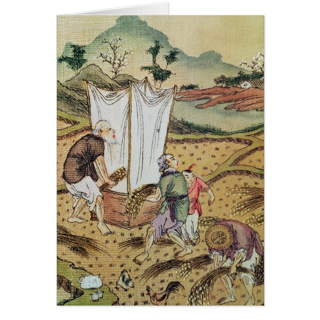 La historia del arroz (Frente)