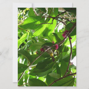 La hora del almuerzo en el árbol