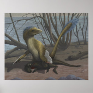 La impresión aptense del Riverbank