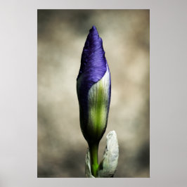 La impresión de belleza que llega