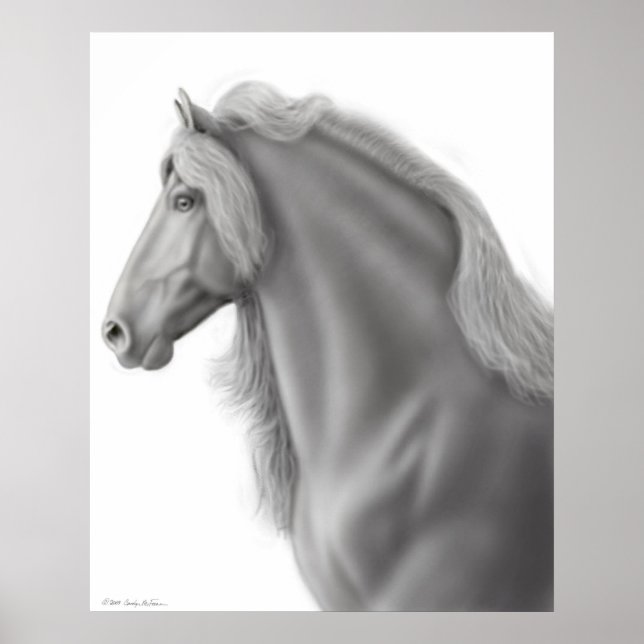 La impresión de caballo frisón (Frente)