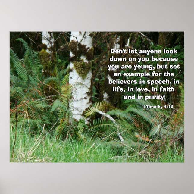 La impresión de Dios llama a los ferris forestales (Frente)