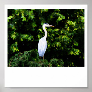 La impresión de pájaro blanco