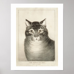 La impresión de vintage de gatos favorita