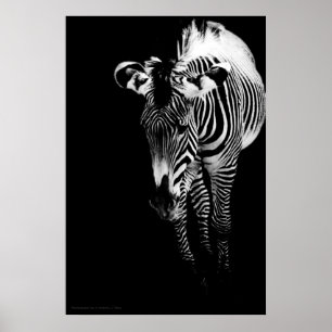 La impresión imperial