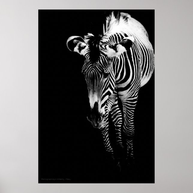 La impresión imperial (Frente)