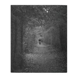 La impresión Metalizado de Jogger